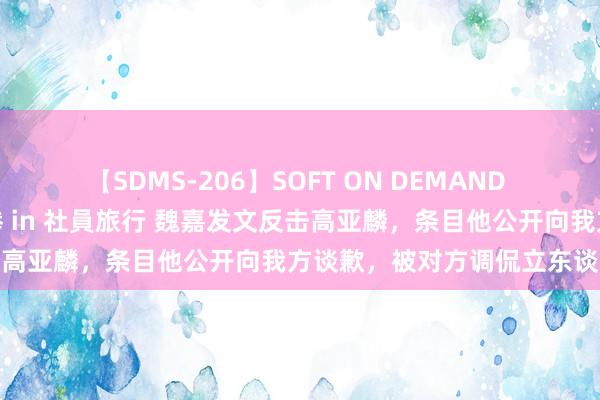 【SDMS-206】SOFT ON DEMAND 女子社員スペシャル野球拳 in 社員旅行 魏嘉发文反击高亚麟，条目他公开向我方谈歉，被对方调侃立东谈主设