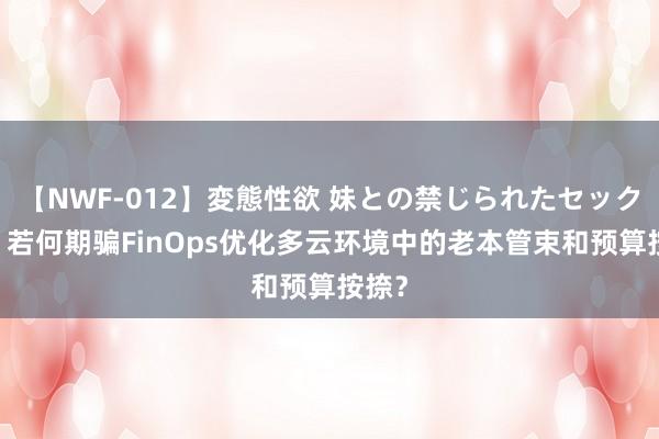 【NWF-012】変態性欲 妹との禁じられたセックス。 若何期骗FinOps优化多云环境中的老本管束和预算按捺？