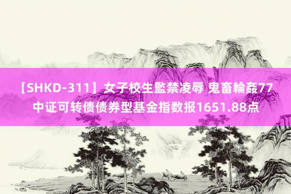 【SHKD-311】女子校生監禁凌辱 鬼畜輪姦77 中证可转债债券型基金指数报1651.88点