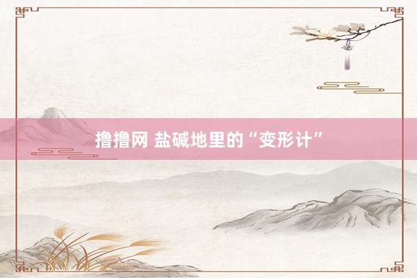 撸撸网 盐碱地里的“变形计”