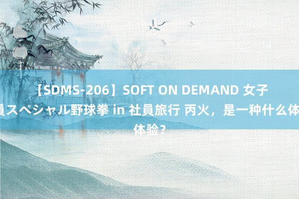 【SDMS-206】SOFT ON DEMAND 女子社員スペシャル野球拳 in 社員旅行 丙火，是一种什么体验？
