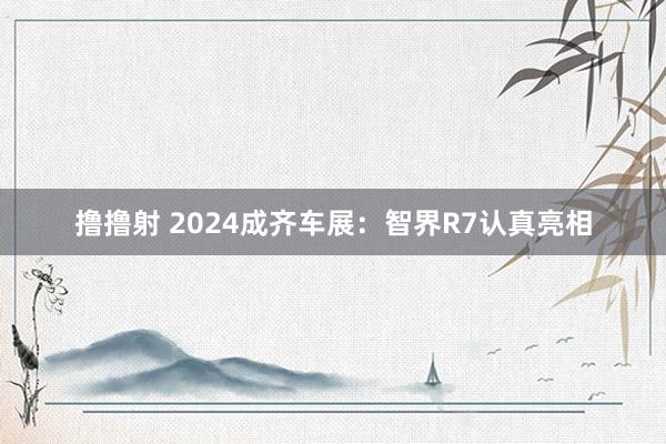撸撸射 2024成齐车展：智界R7认真亮相