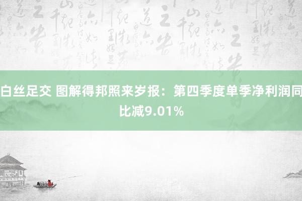 白丝足交 图解得邦照来岁报：第四季度单季净利润同比减9.01%