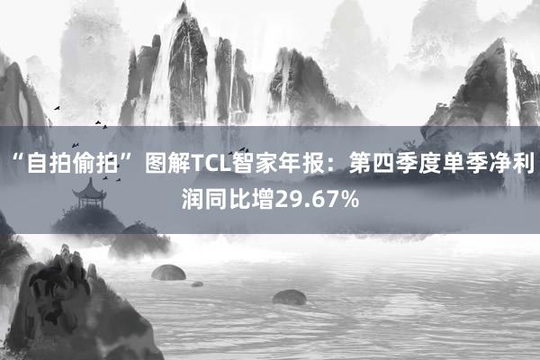 “自拍偷拍” 图解TCL智家年报：第四季度单季净利润同比增29.67%
