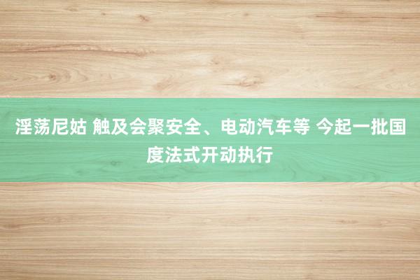 淫荡尼姑 触及会聚安全、电动汽车等 今起一批国度法式开动执行