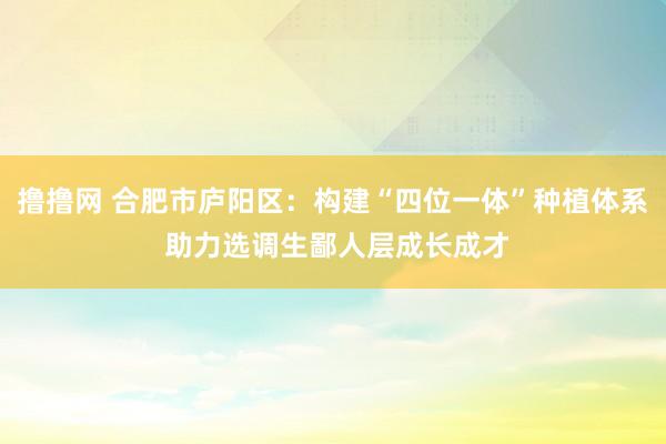 撸撸网 合肥市庐阳区：构建“四位一体”种植体系 助力选调生鄙人层成长成才