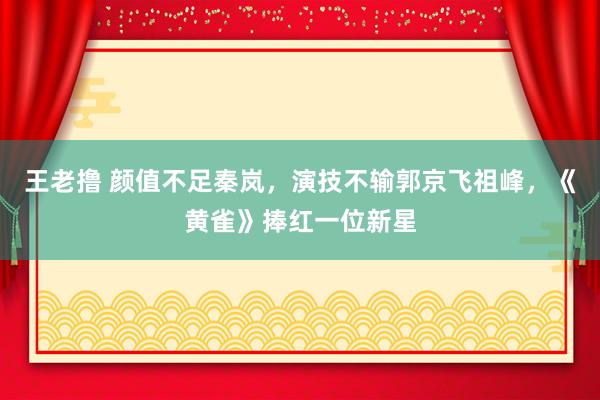 王老撸 颜值不足秦岚，演技不输郭京飞祖峰，《黄雀》捧红一位新星