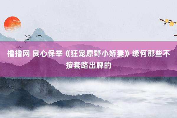 撸撸网 良心保举《狂宠原野小娇妻》缘何那些不按套路出牌的