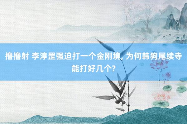 撸撸射 李淳罡强迫打一个金刚境， 为何韩狗尾续寺能打好几个?