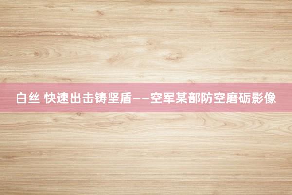 白丝 快速出击铸坚盾——空军某部防空磨砺影像