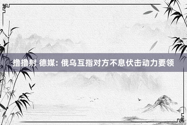 撸撸射 德媒: 俄乌互指对方不息伏击动力要领