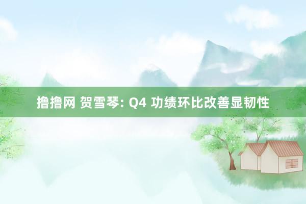 撸撸网 贺雪琴: Q4 功绩环比改善显韧性