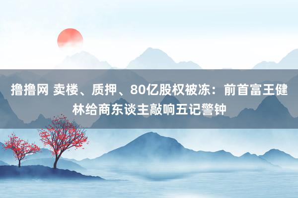 撸撸网 卖楼、质押、80亿股权被冻：前首富王健林给商东谈主敲响五记警钟